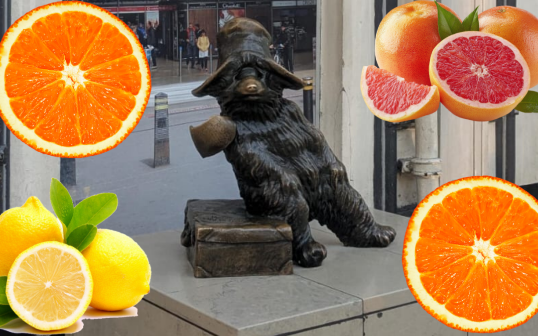 LA CONFITURE D&rsquo;AGRUMES de MÉMÉ LUCETTE (MEURTRE EN FRANC-MAÇONNERIE)