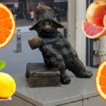 LA CONFITURE D&rsquo;AGRUMES de MÉMÉ LUCETTE (MEURTRE EN FRANC-MAÇONNERIE)