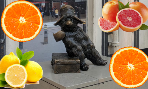 LA CONFITURE D&rsquo;AGRUMES de MÉMÉ LUCETTE (MEURTRE EN FRANC-MAÇONNERIE)